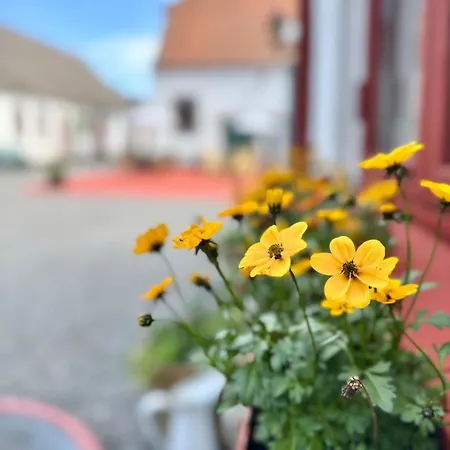 Groland Bornholm